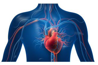 HDFW HEART DISEASE FREE WORLD FOUNDATION